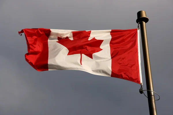 在大风天气中的加拿大国旗 国家的象征 — 图库照片
