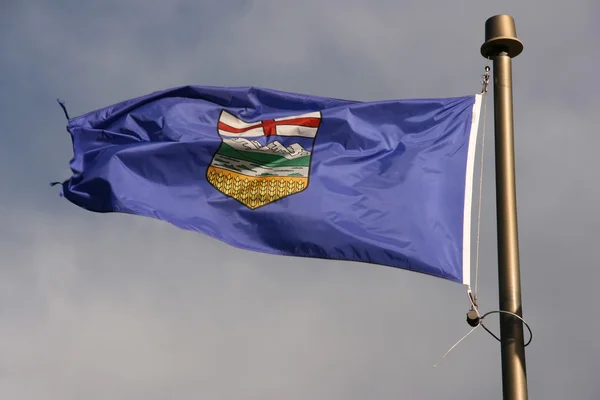 Flaga Prowincji Alberta Kanadzie Wiatr — Zdjęcie stockowe