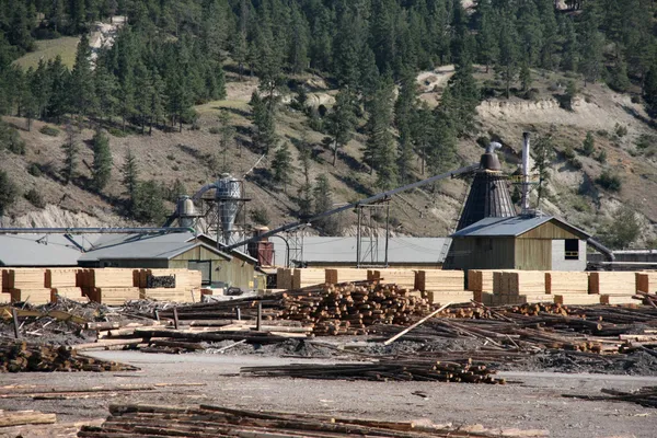 Pila Nebo Dřevo Mlýn Závod Zpracování Dřeva Kanadě — Stock fotografie