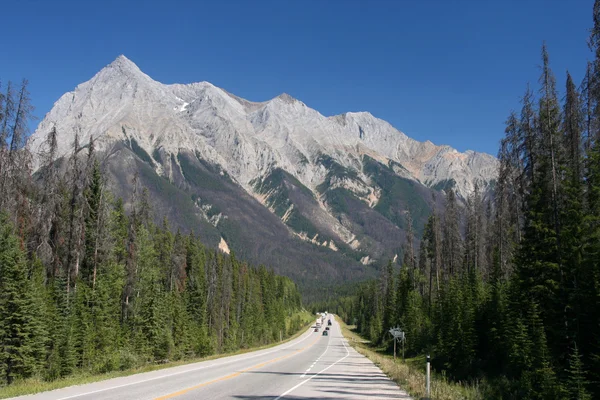 Straight Scenic Road British Columbia Canada Rocky Mountains Landscape Yoho — Stock Photo, Image