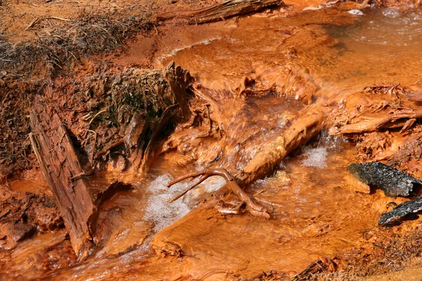 著名涂料罐在加拿大库特尼国家公园 水是明确和质朴 但土壤是红色的因为包含矿物 — 图库照片