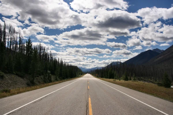 クートネー国立公園 カナダでまっすぐ風光明媚な道路 ロッキー山脈の風景 — ストック写真