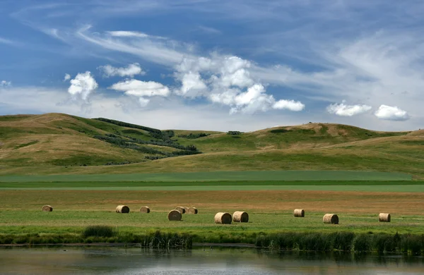 Prairie in Canada — Stock Photo, Image