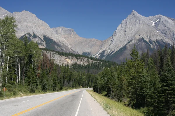 Estrada Cênica Reta Colúmbia Britânica Canadá Paisagem Das Montanhas Rochosas — Fotografia de Stock