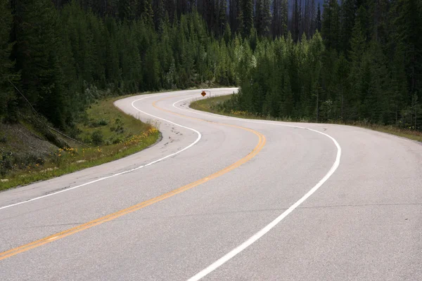 Strada Tortuosa Nel Parco Nazionale Kootenay Canada Vuoto — Foto Stock