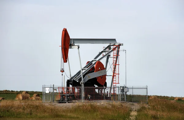 Oil pump jack — Stock Photo, Image