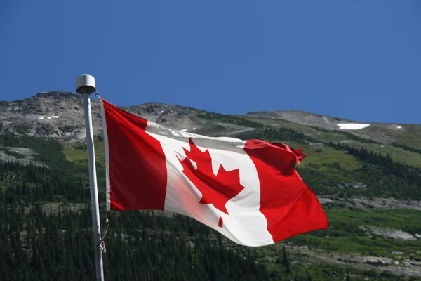 stock image Flag of Canada against the background of Rocky Mountains