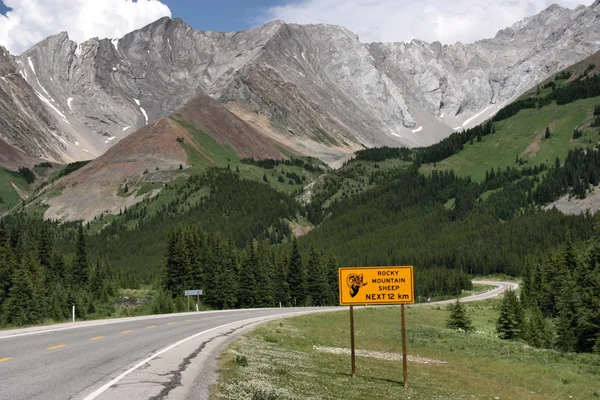 Silnice Rocky Mountains Highwood Stezka Kananaskis Země Alberta Kanada — Stock fotografie
