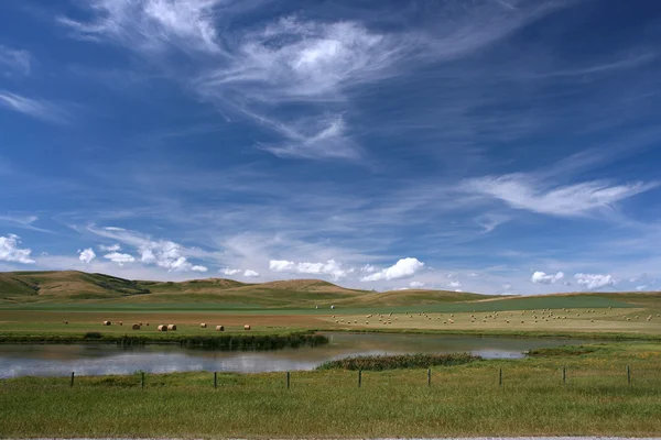 美しい草原 アルバータ州 カナダの農業 — ストック写真