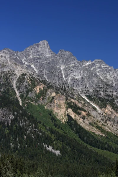 Wunderschöne Berglandschaft Britischer Kolonialzeit Gletscher Nationalpark Kanada — Stockfoto