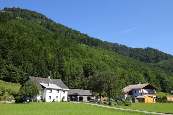 Österreich Schönes Alpendorf Kleinstadt Mit Grünen Weiden Und Alpen Hintergrund — Stockfoto