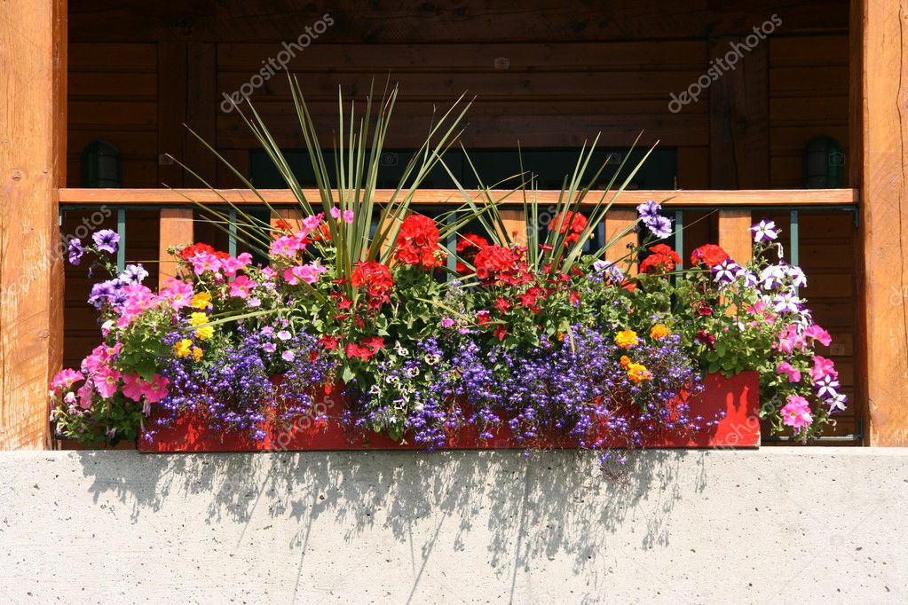 100+ balcony flowers balcony garden stock images royalty fre.