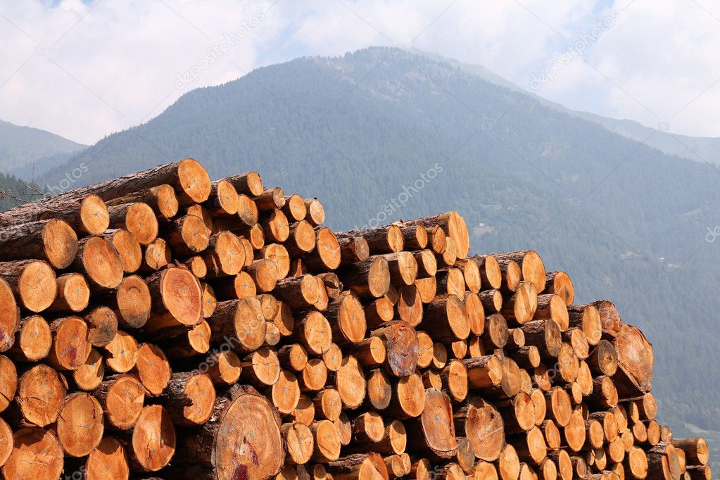 Lumber in the mountains of Italy. Stacked wood in Dolomites.