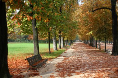 Autumn park clipart