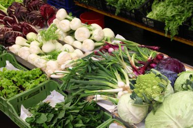 Parma, İtalya - marul, karnabahar, lahana ve rezene sebze pazarı durak