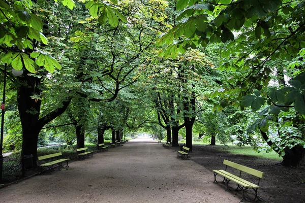 Варшавский парк — стоковое фото