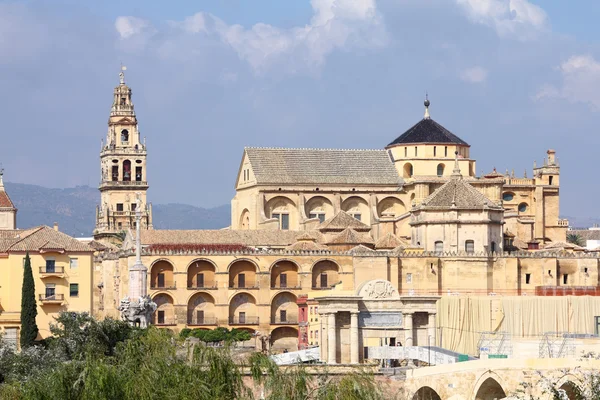 Cordoba Spanya Ulu Cami Anda Katolik Katedrali Unesco Dünya Mirası — Stok fotoğraf