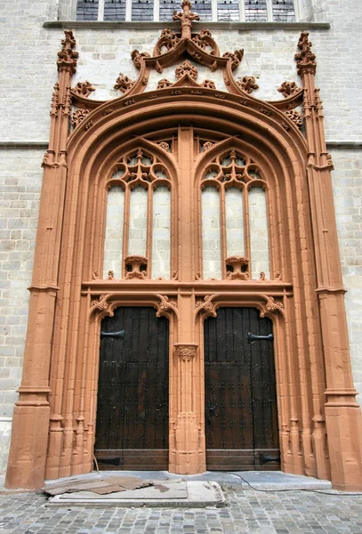 Porta Della Chiesa San Martino Sint Martinus Kerk Aalst Belgio — Foto Stock