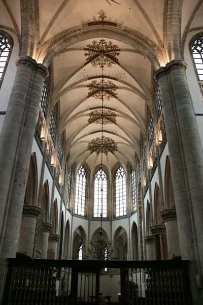 Grote Kerk Wielki Kościół Breda Holandia Piękny Sufit Stylu Gotyckim — Zdjęcie stockowe
