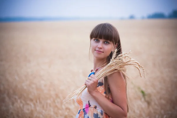 stock image The young girl goes on a ripe wheaten field with a bouquet from