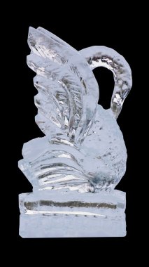 Ice swan clipart