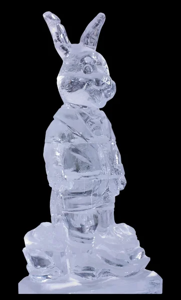 stock image Hare from ice isolated on a black background