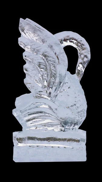 氷の白鳥 ストック画像