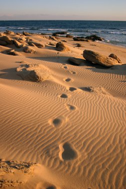 Footprints in the sand clipart