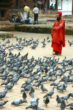Pigeons and a monk clipart