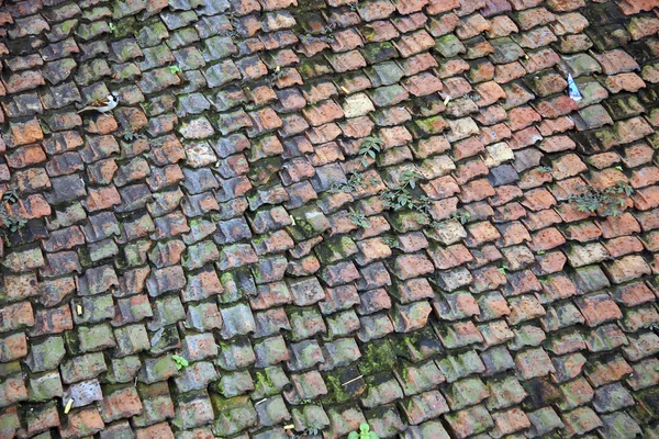 카트만두에서가 게의 지붕 — 스톡 사진