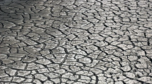 stock image Ground broken by the drought