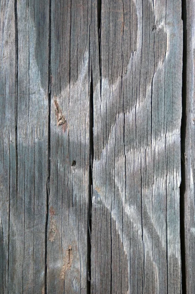 Pine trä textur — Stockfoto