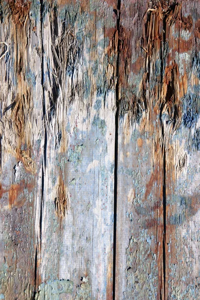 Textur Holz — Stockfoto