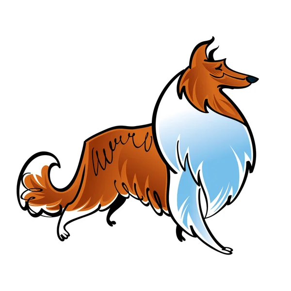 Collie scotch cão pastor —  Vetores de Stock