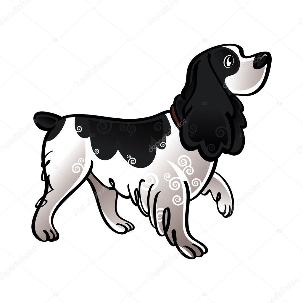 Cocker Spaniel dog