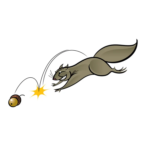 Écureuil et noix — Image vectorielle