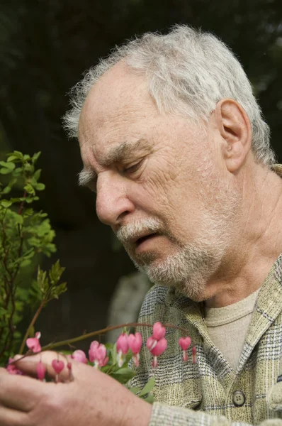 Baby boomer gardener close-up — Stok Foto