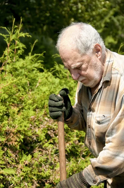 Senior trädgårdsmästare närbild — Stockfoto