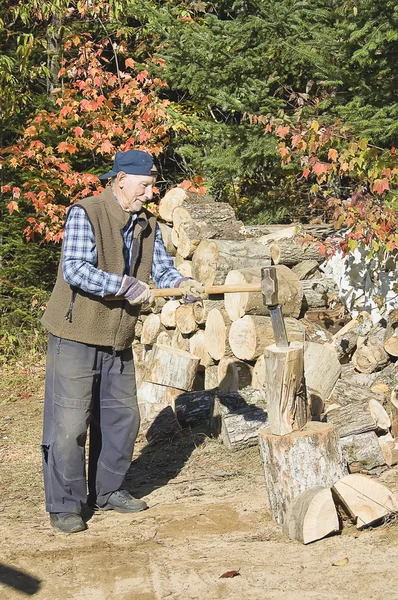 Elderly lumberjack in action — Stock Photo, Image