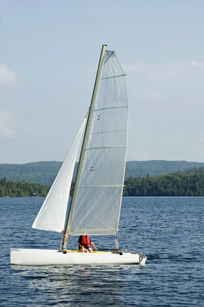 White catamaran — Stock Photo, Image