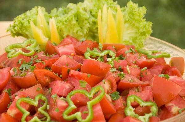 Paradicsom saláta — Stock Fotó