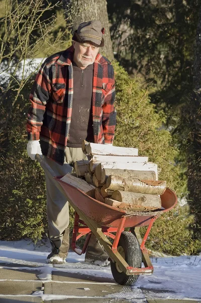 Senior en el trabajo transportando troncos —  Fotos de Stock