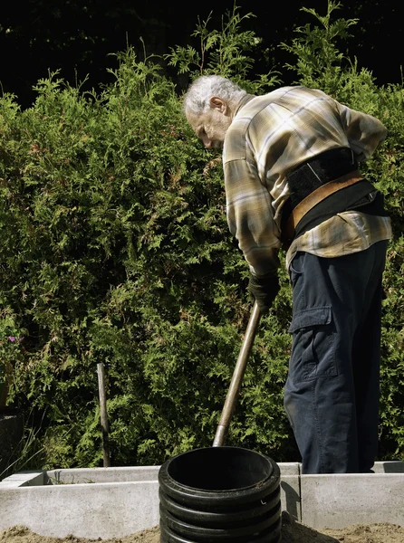 Старший садовник — стоковое фото