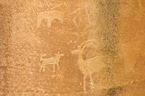 Petroglyphe amérindien — Photo