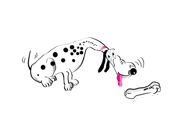 Dalmatian dog cartoon on white background — Stock Vector