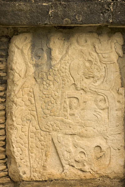 Maya-Hieroglyphen — Stockfoto