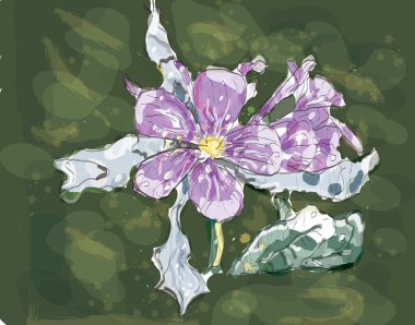 Jasmin flower watercolor clipart