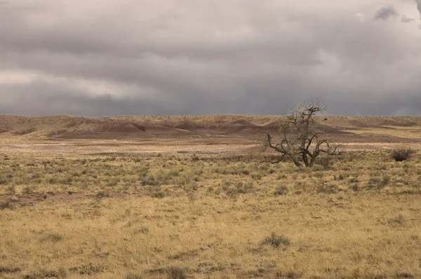 Аризона живописный вид — стоковое фото
