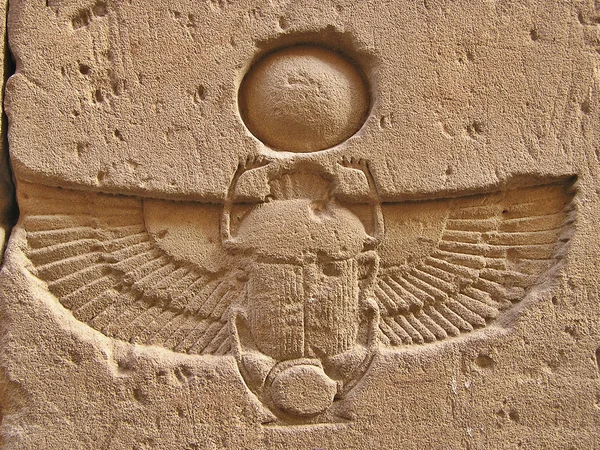 Carved scarab — Stock Photo, Image
