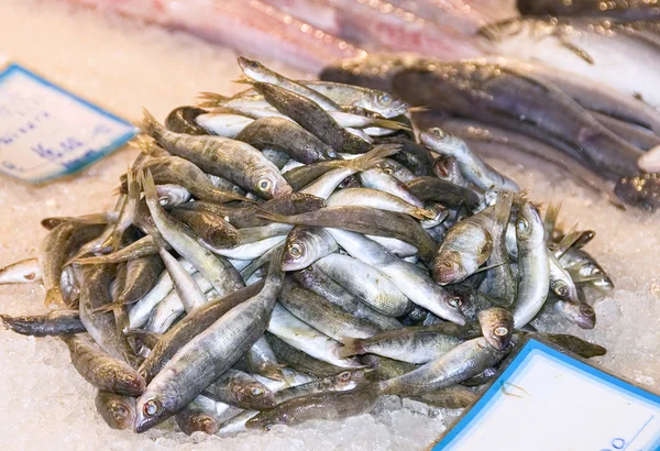 stock image Fresh herrings